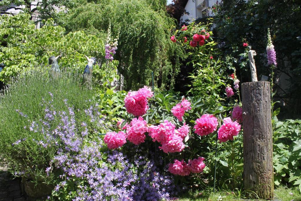 Hotel Zur Krone Auggen Εξωτερικό φωτογραφία