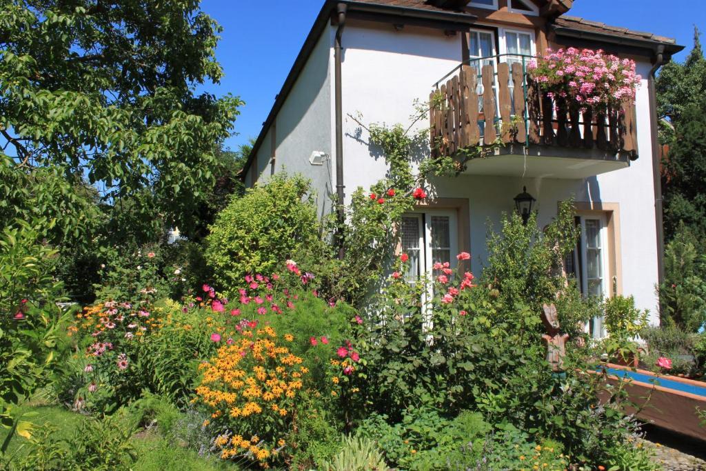 Hotel Zur Krone Auggen Εξωτερικό φωτογραφία